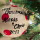 Illustration for article titled Shooting Challenge: Ornaments